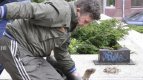 ухапана от куче осъди община берковица за 4 бона