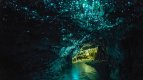 уникална красота в пещера в нова зеландия създадена от рядък вид червеи