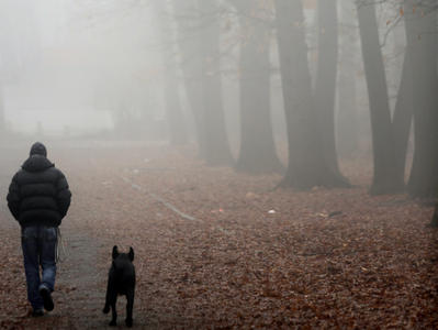 мъгли увиват страната в сива премяна