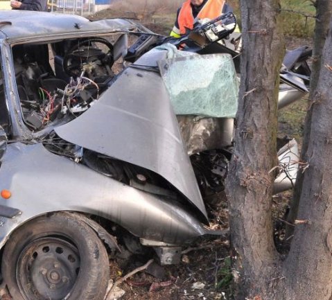 шофьор без книжка нацели дърво, спътникът му с опасност за живота