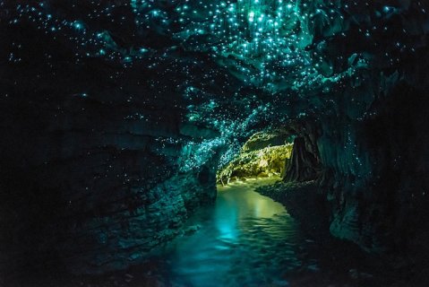 уникална красота в пещера в нова зеландия създадена от рядък вид червеи